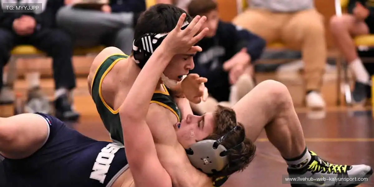 收藏你的荣耀时刻!🏆